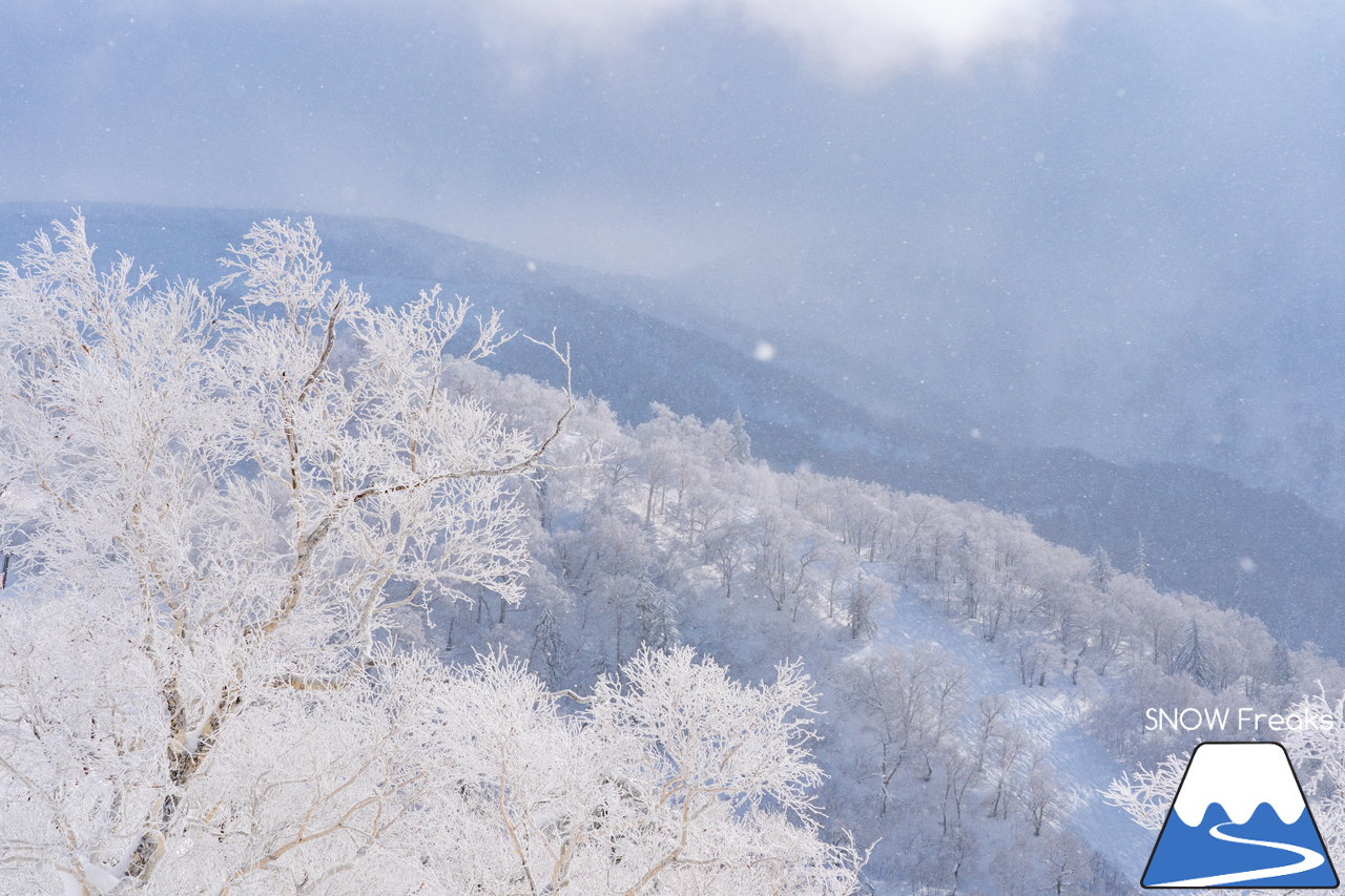 キロロリゾート｜降り出したら早いキロロ。積雪は、200cmに到達！X'mas＆年末年始に向けてコンディション急上昇(*^^)v